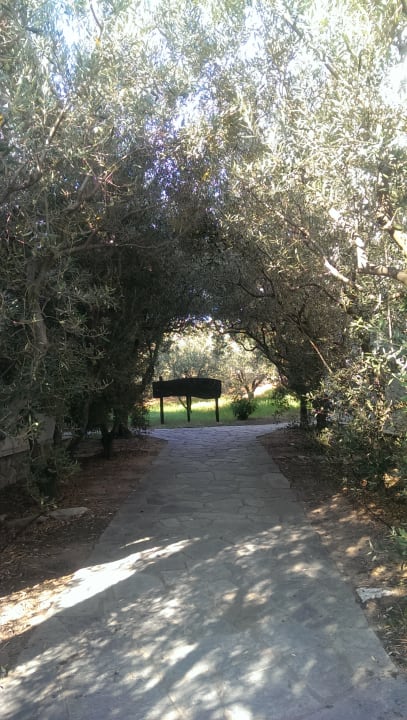 Gartenanlage Hotel Geranion Village