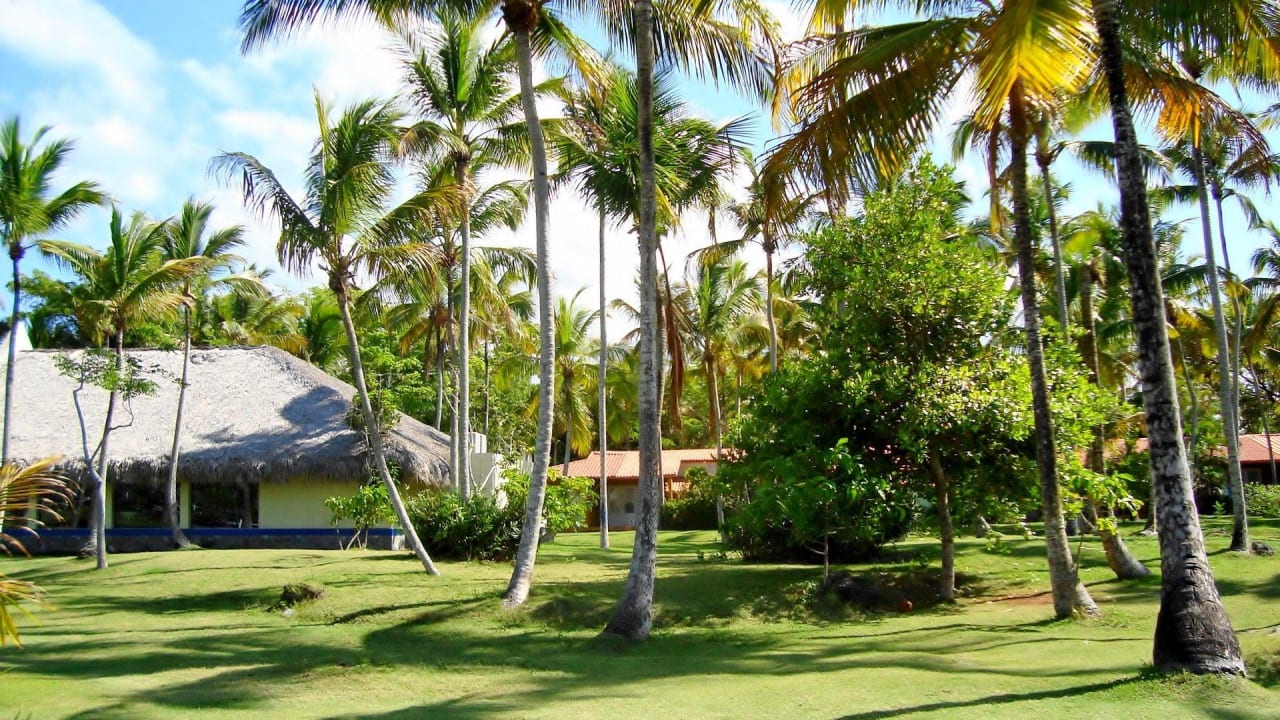 Strandwiese Wyndham Alltra Samana