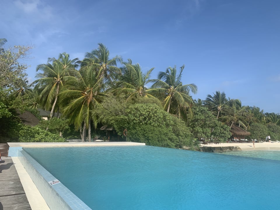 Pool Summer Island Maldives
