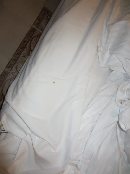 Blutfleck auf Laken, direkt nach Einchecken Pickalbatros Alf Leila Wa Leila Resort - Neverland Hurghada