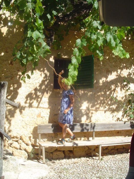 bank im hof Finca Sa Casa Rotja