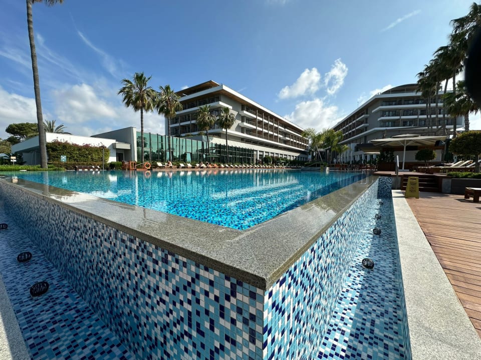 Pool Acanthus Cennet Barut Collection