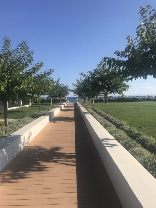 Ausblick TUI BLUE Lagoon Princess