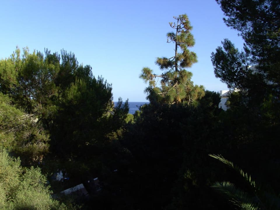 Blick aus App. 1013 Gavimar Ariel Chico Club & Resort