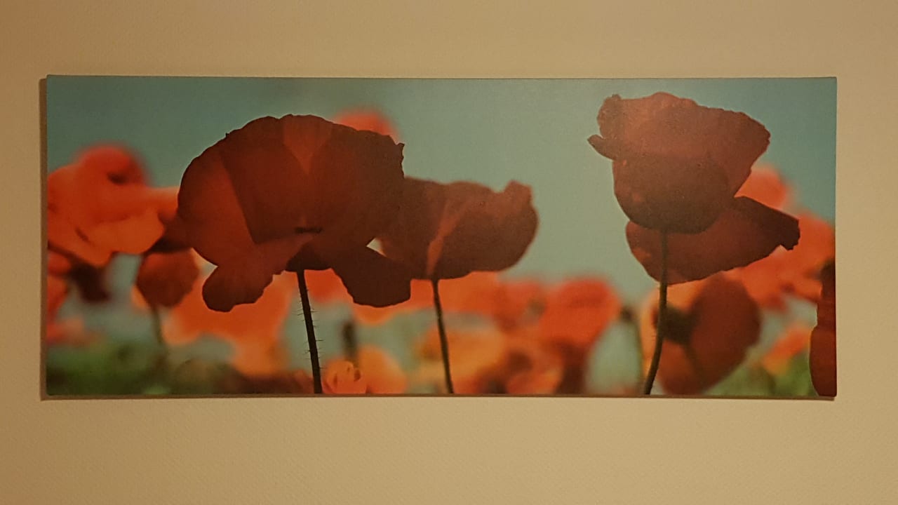 Zimmer Gästehaus Freudig & Jung