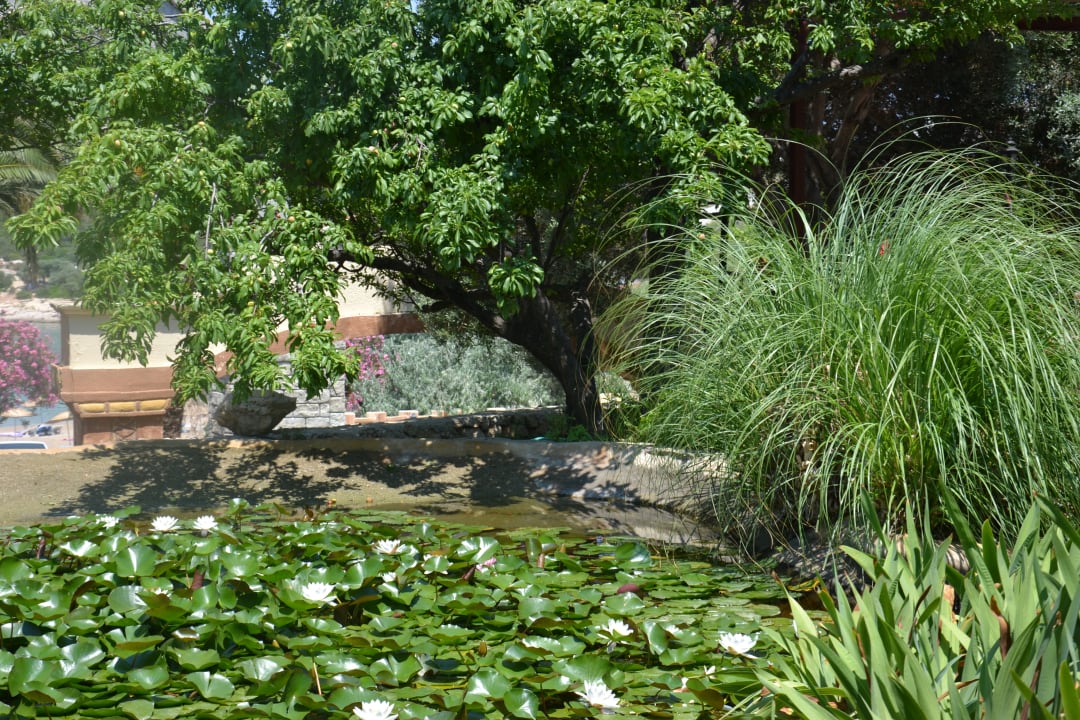 Gartenanlage Club Resort Atlantis