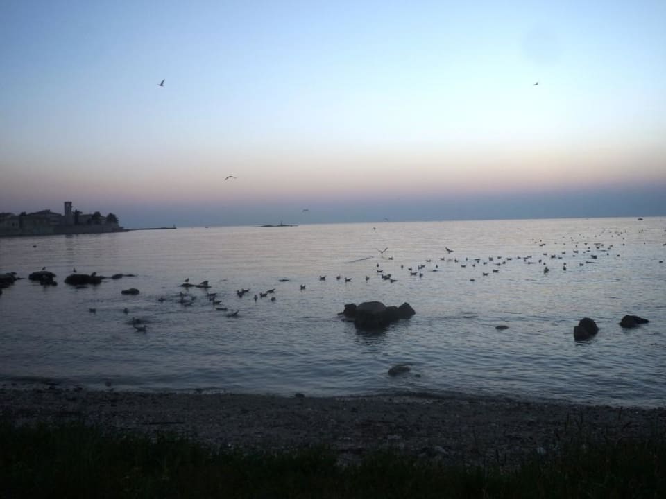 Porec bei Sonnenuntergang Valamar Parentino Hotel