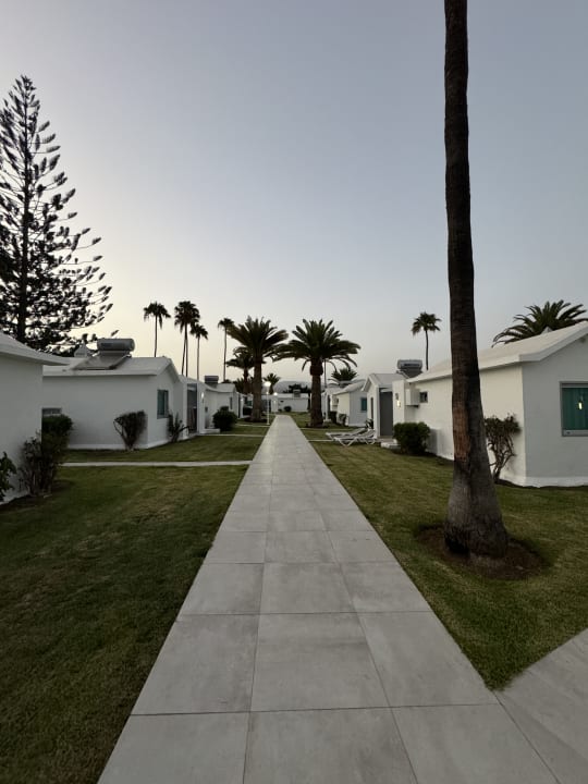 Gartenanlage Canary Garden Club