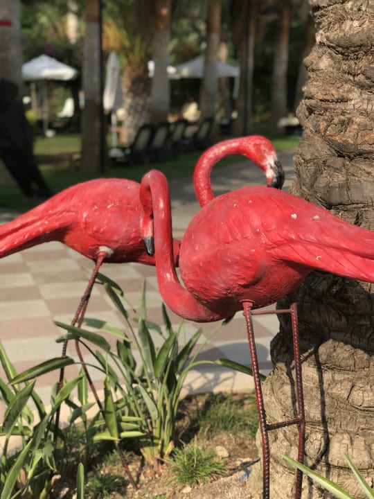 Sonstiges Belek Beach Resort Hotel