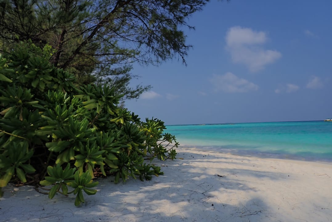 Strand Summer Island Maldives