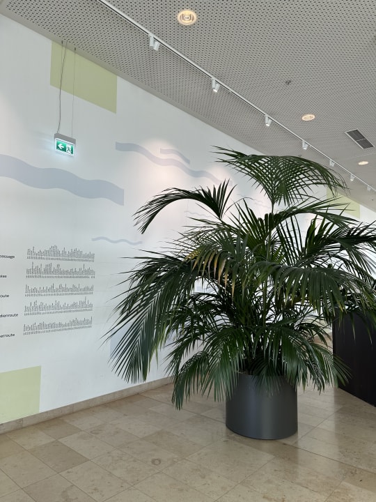 Lobby JUFA Hotel Hamburg HafenCity