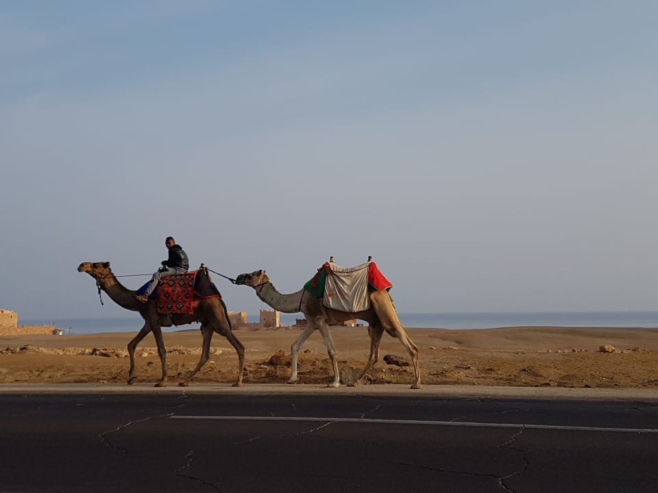 Außenansicht Three Corners Equinox Beach Resort