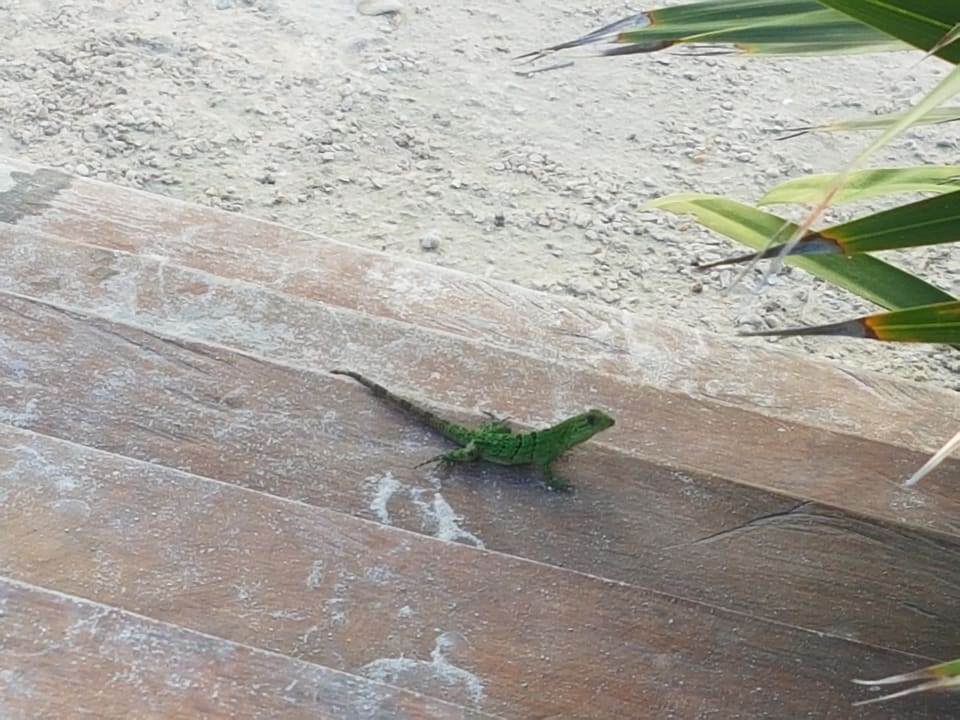 Sonstiges Akumal Bay Beach & Wellness Resort