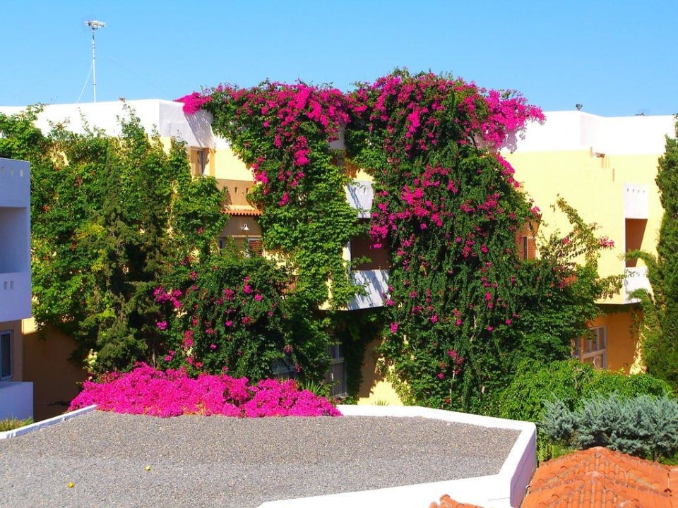 Traumhafte Gartengestaltung Anissa Beach & Village