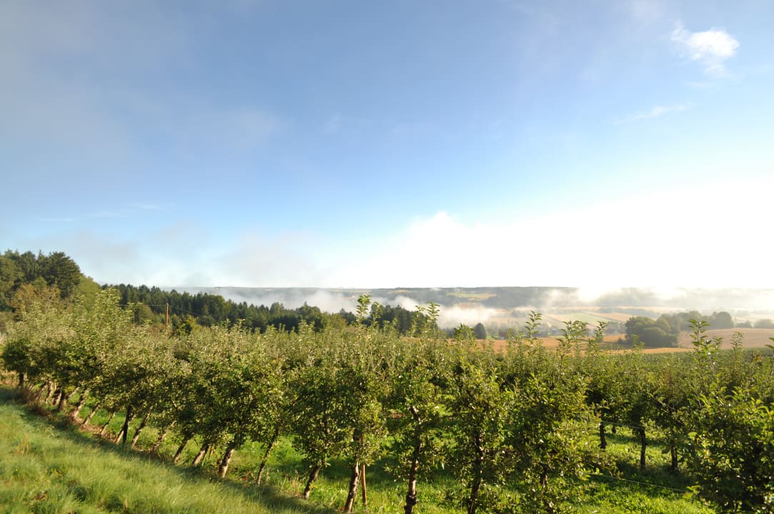 Ausblick Hotel-Restaurant Teuschler-Mogg