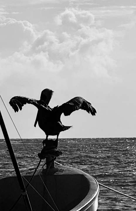 Sport & Freizeit Akumal Bay Beach & Wellness Resort