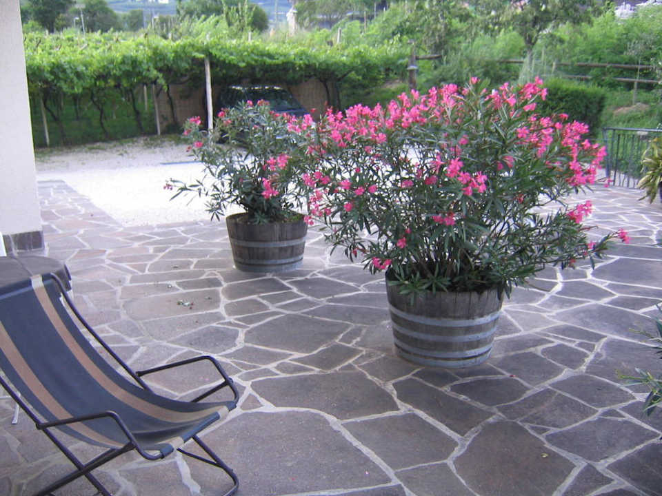 Terrasse Garni Sandhof