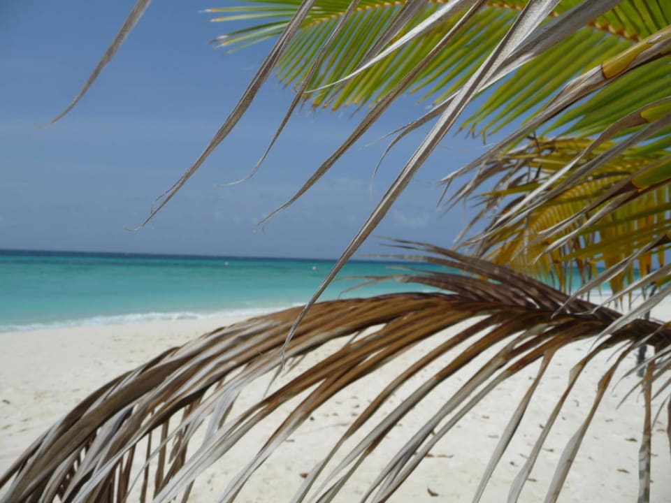 Meer Kuredu Island Resort & Spa