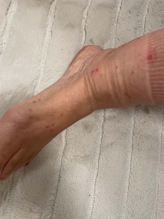 Zimmer Seven Seas Jolie Bay Resort