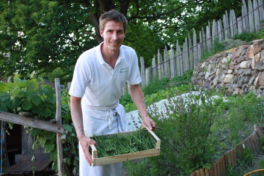 Rucola vom Garten Landgasthof Wöhrmaurer