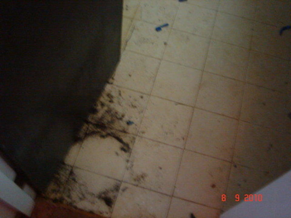 Überraschung Club Hotel Dolphin