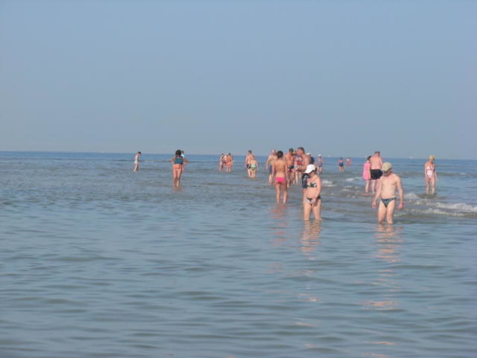 Sandbank vor dem Hotelstarand Pickalbatros Dana Beach Resort - Hurghada