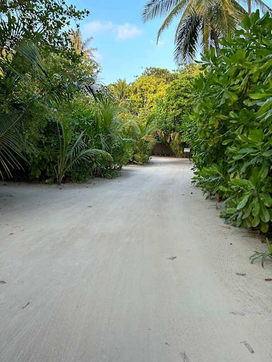 Außenansicht Kuredu Island Resort & Spa