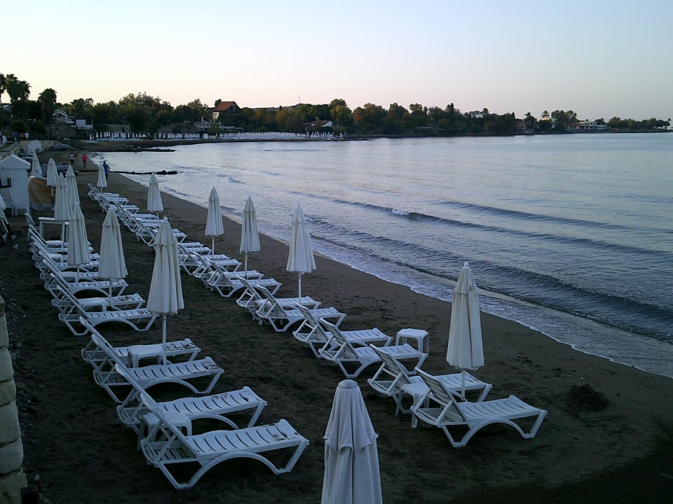 Strand Side Miami Beach