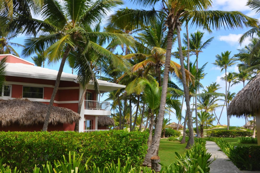 Hotel i otoczenie Hotel Grand Palladium Palace Resort, Spa & Casino