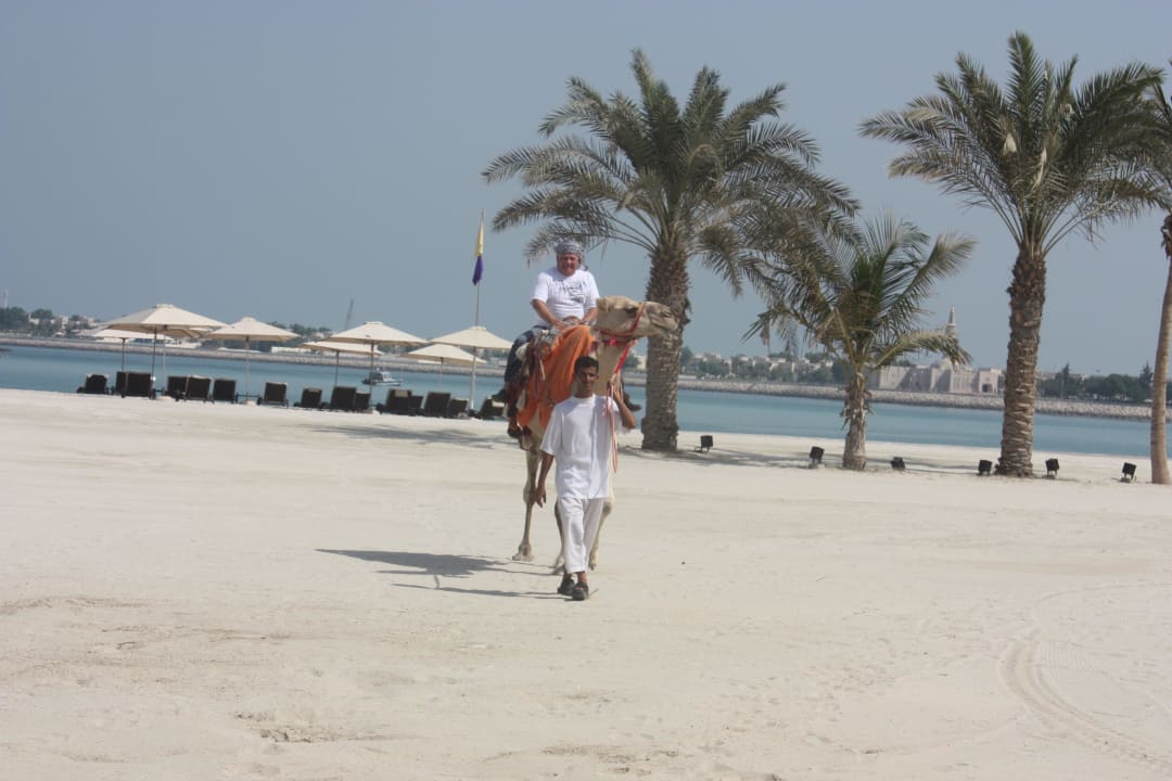 Mit Kamelen Emirates Palace Mandarin Oriental