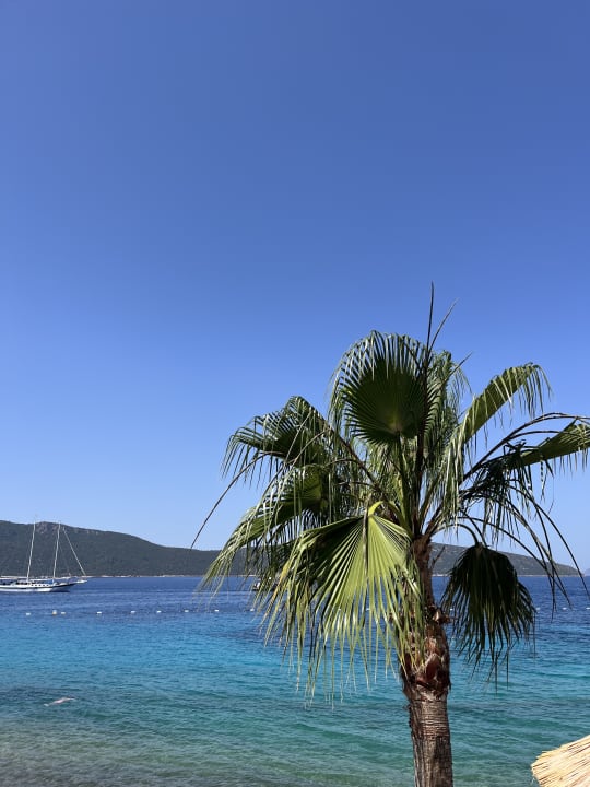 Ausblick TUI MAGIC LIFE Bodrum - Adult Only (16+)