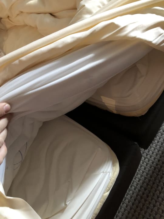 Zimmer Schlosshotel Bad Wilhelmshöhe Conference & Spa