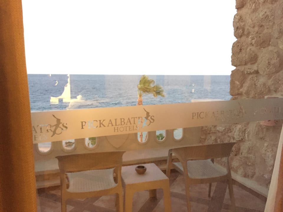 Zimmer Pickalbatros Citadel Resort