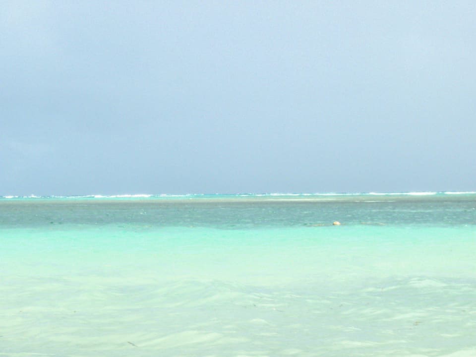 Endlose Ferne Catalonia Punta Cana - All Inclusive