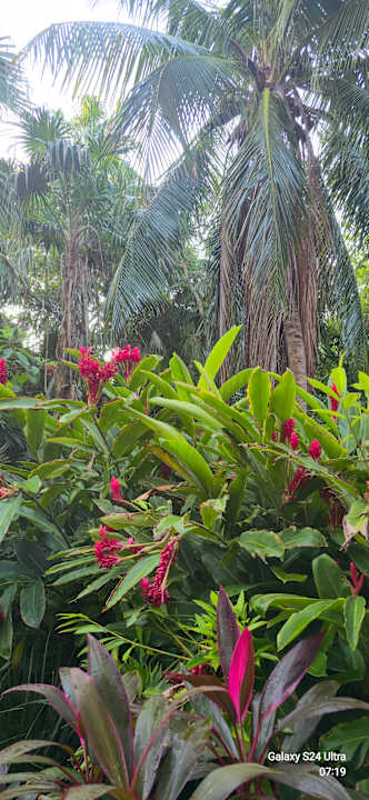 Gartenanlage Iberostar Waves Paraiso del Mar