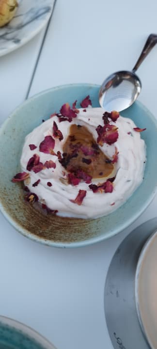 Gastro Acanthus Cennet Barut Collection