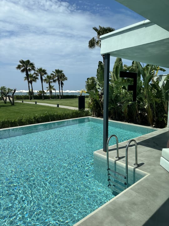 Zimmer Paloma Finesse