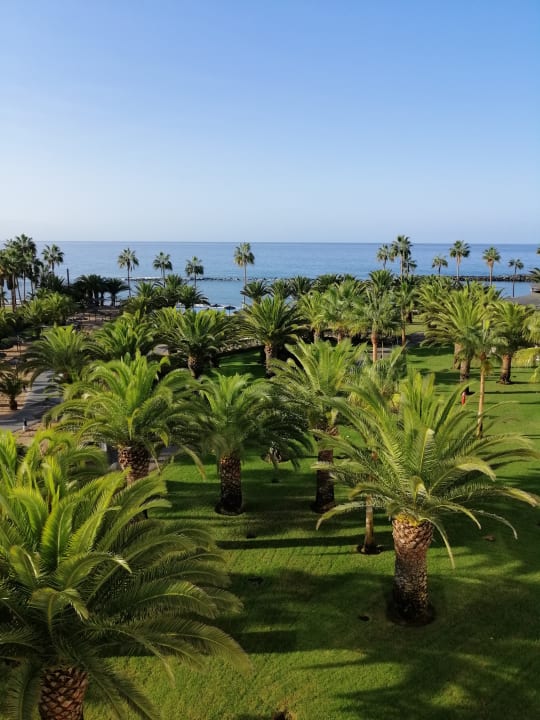 Gartenanlage Hotel Riu Palace Tenerife
