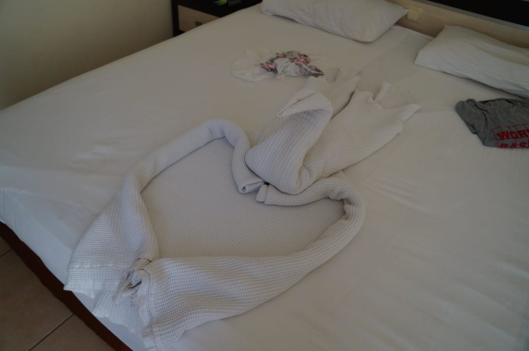 ZZimmer Hotel Orfeus Park