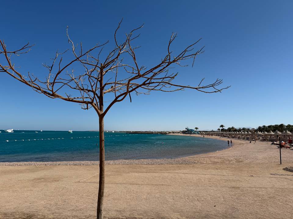 Strand The Grand Palace - Adults only