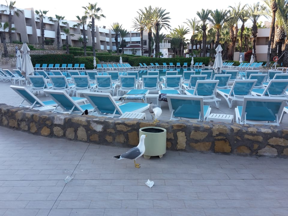 Sport & Freizeit Dunes D'or Ocean Club