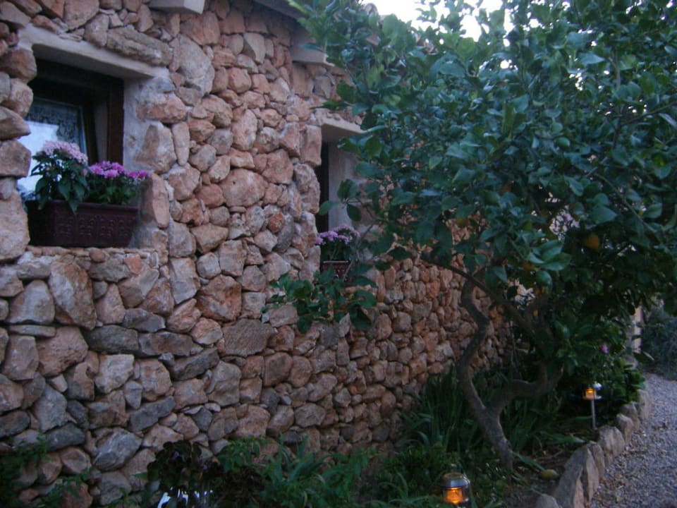 Finca Hotel Finca Can Paulino