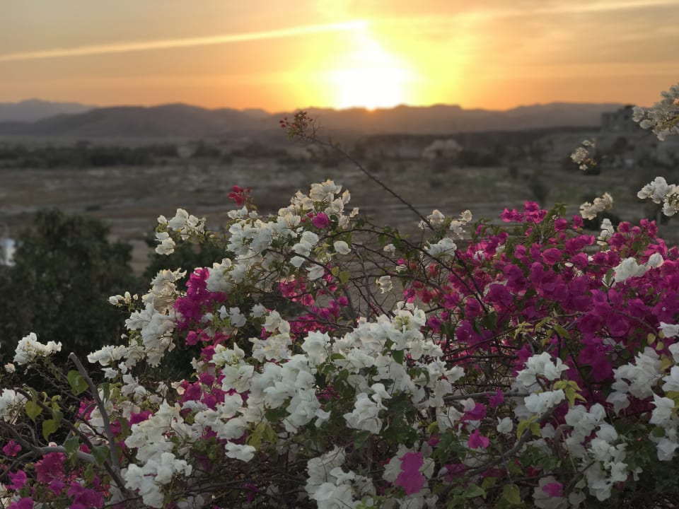 Ausblick Three Corners Equinox Beach Resort