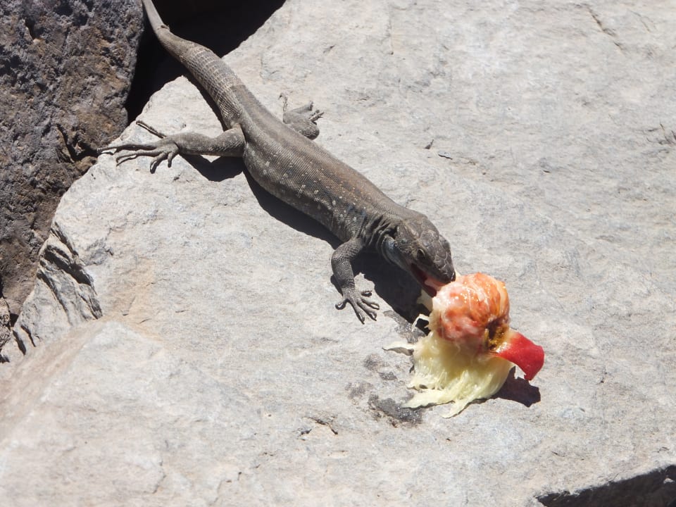 Sonstiges Hotel Piedra Verde