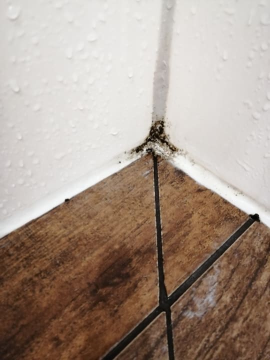 Zimmer frederics Berlin City Hackescher Markt