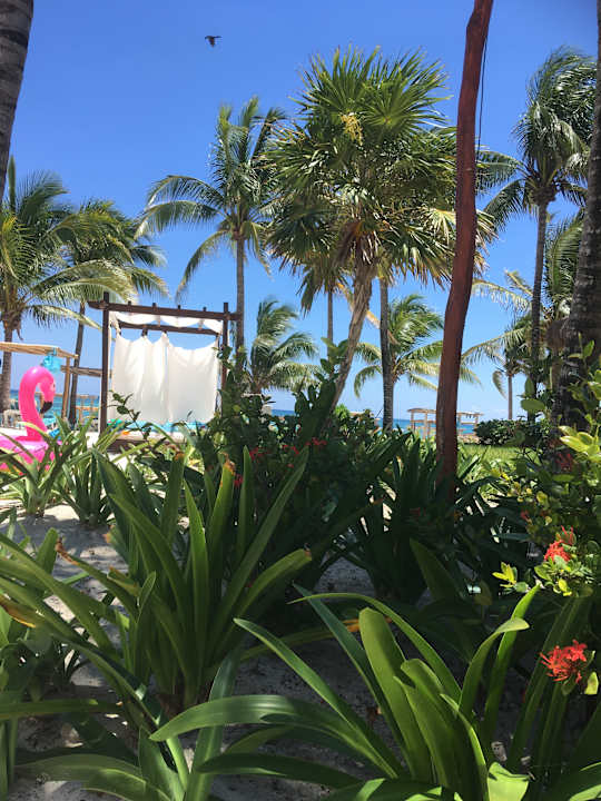 Gartenanlage Akumal Bay Beach & Wellness Resort