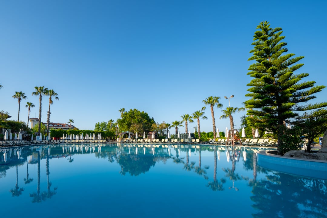 Pool Alba Resort Hotel