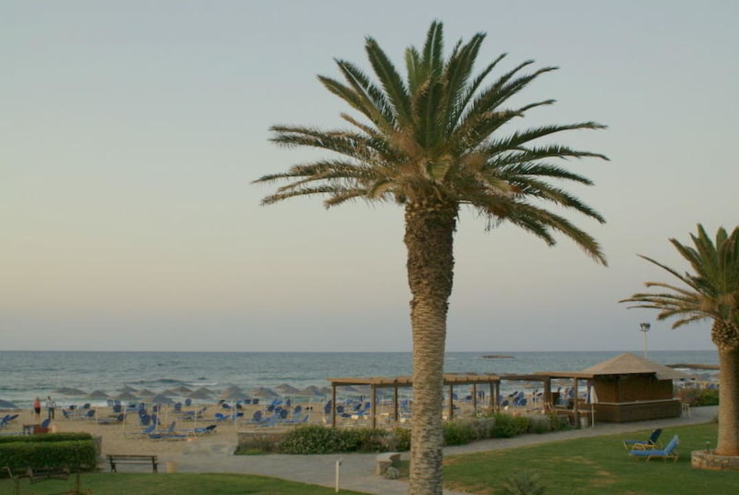 Plaża-widok z tarasu restauracji Calimera Sirens Beach
