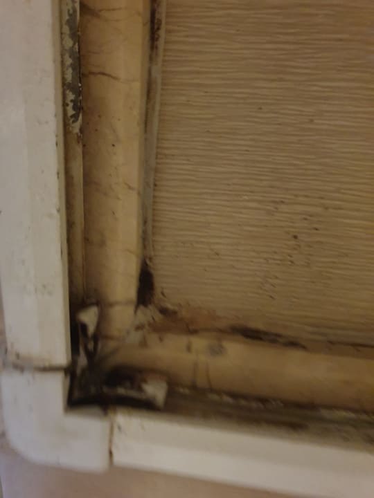 Zimmer Green Paradise Beach Hotel