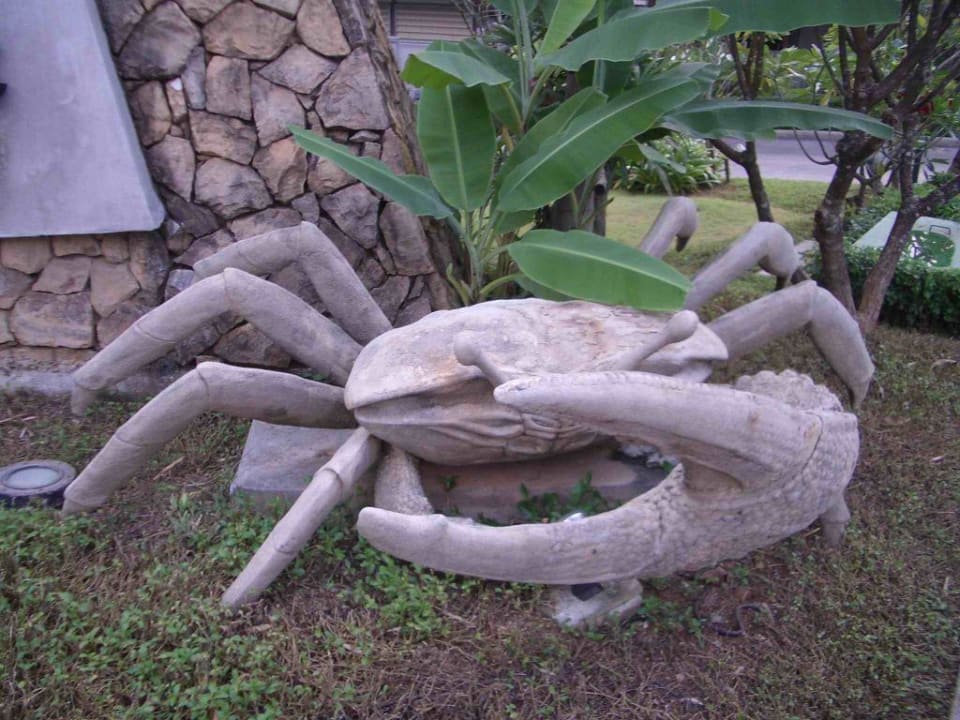 Krabi= Krabbe? Dusit Thani Krabi Beach Resort